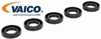 Vaico V10-2264 Dichtring