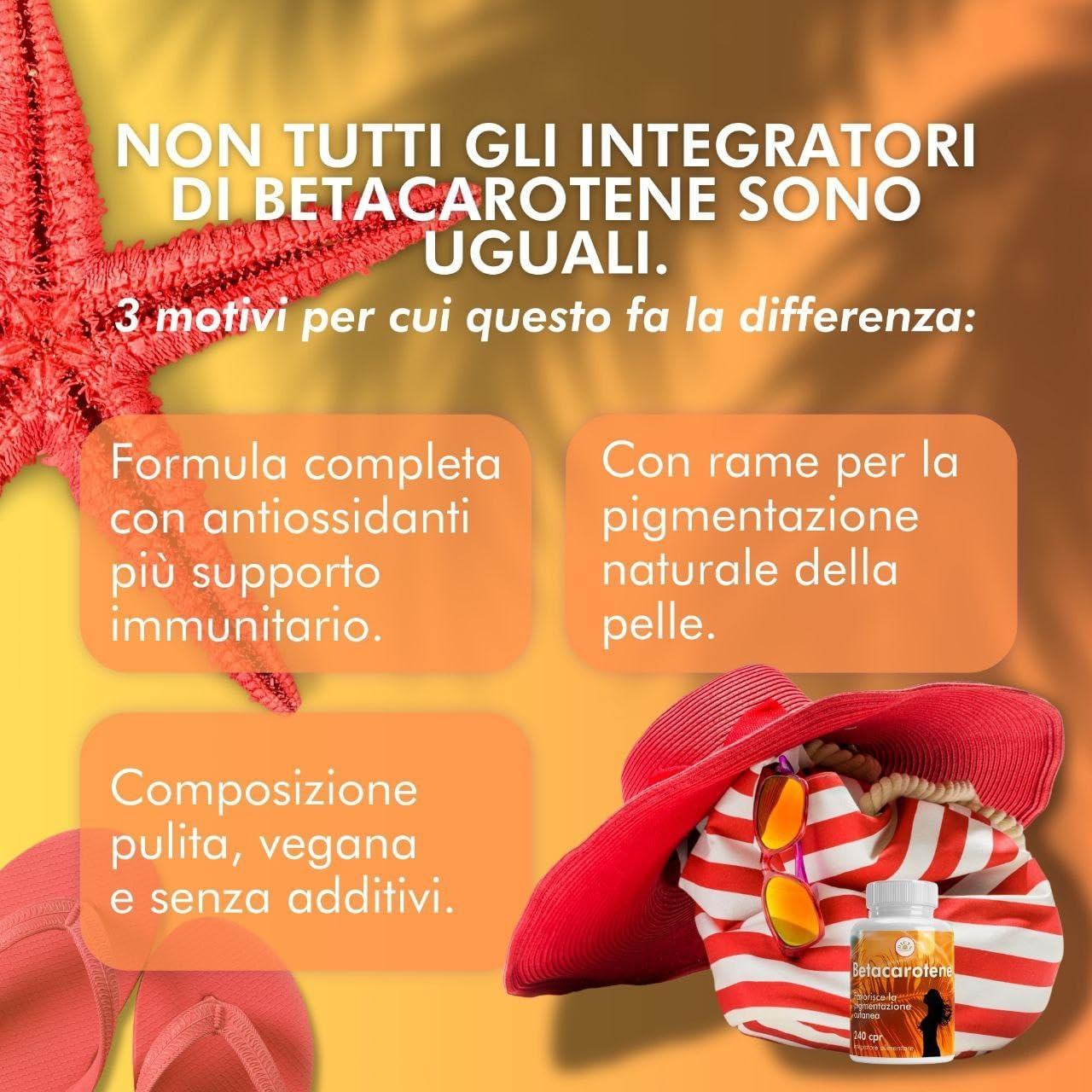 Foto 6 di 12