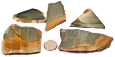 5 Varied Owyhee Picture Jaspers 1st Picture Wet Total 9.7 Ounces #3561