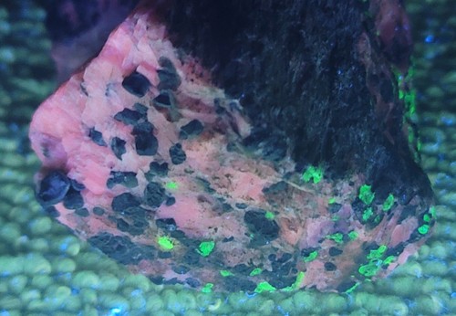 Rare Large Beautiful Wedge Fluorescent Mineral Sterling Hill Willemite Calcite - Picture 5 of 17