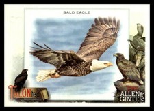 2023 Topps Allen & Ginter Bald Eagle  TALON-ted Bird Insert TT-5