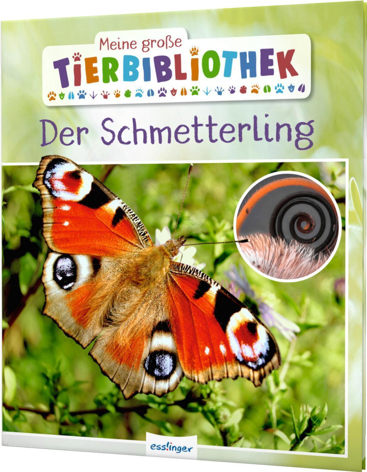 Thumbnail - Meine Große Tierbibliothek: Der Schmetterling Valérie Tracqui Buch 32