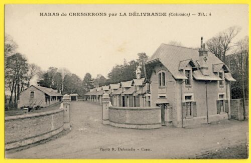 cpa RARE 14 - HARAS de CRESSERONS par LA DELIVRANDE (Calvados) Chevaux Elevage - 第 1/1 張圖片