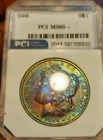1886 P  MORGAN SILVER DOLLAR TONED🌈  PCI 65++