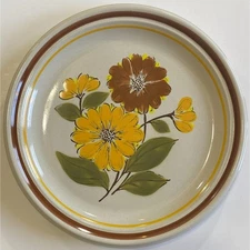 2 DeVille Capri 300 Collection Stoneware Dinner Plates Made In Japan Floral