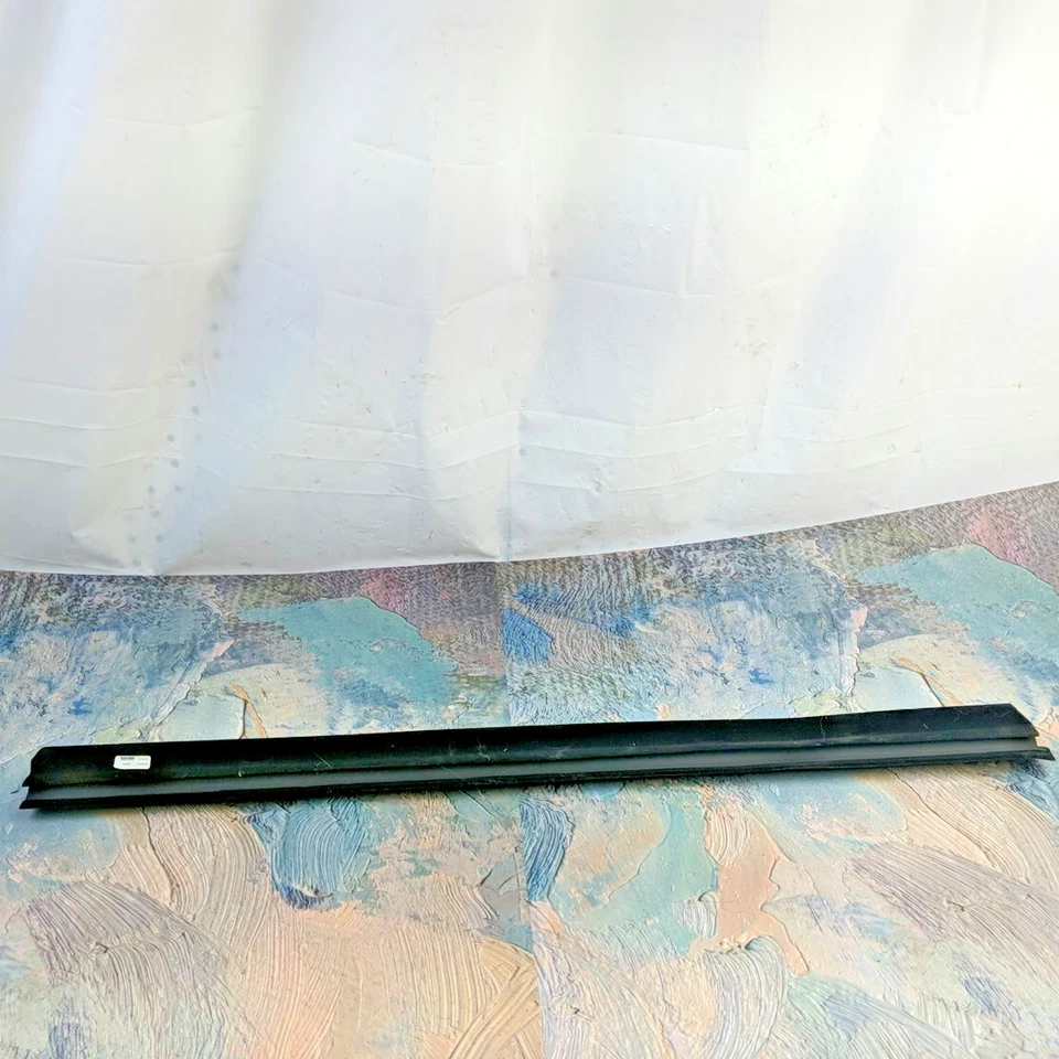 Cinturón de sellado de barrido de ventana de puerta exterior derecha Ford Ranger 1999-2011 Dorman 25859 nuevo de stock Foto 4 de 4