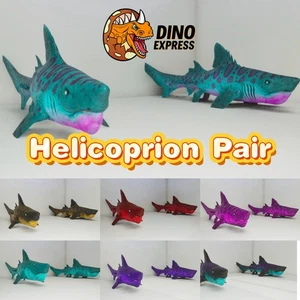 Helicoprion Pair ARK🦕 Survival Ascended ASA PVE PC/XBOX/PS