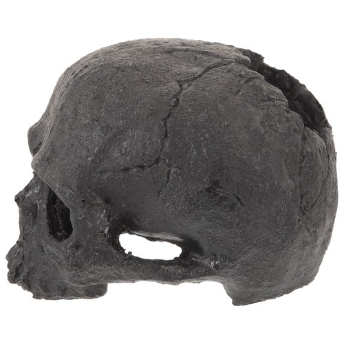 Human Skull Resin Reptile House Fish Tank Skull Ornament Fish Tank Skull Cave - Picture 10 of 12