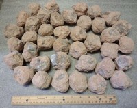 Bulk Wholesale 15 Lbs Mine Run Sonora Crystal Geodes & Nodules, 2-2.25" Diameter 1