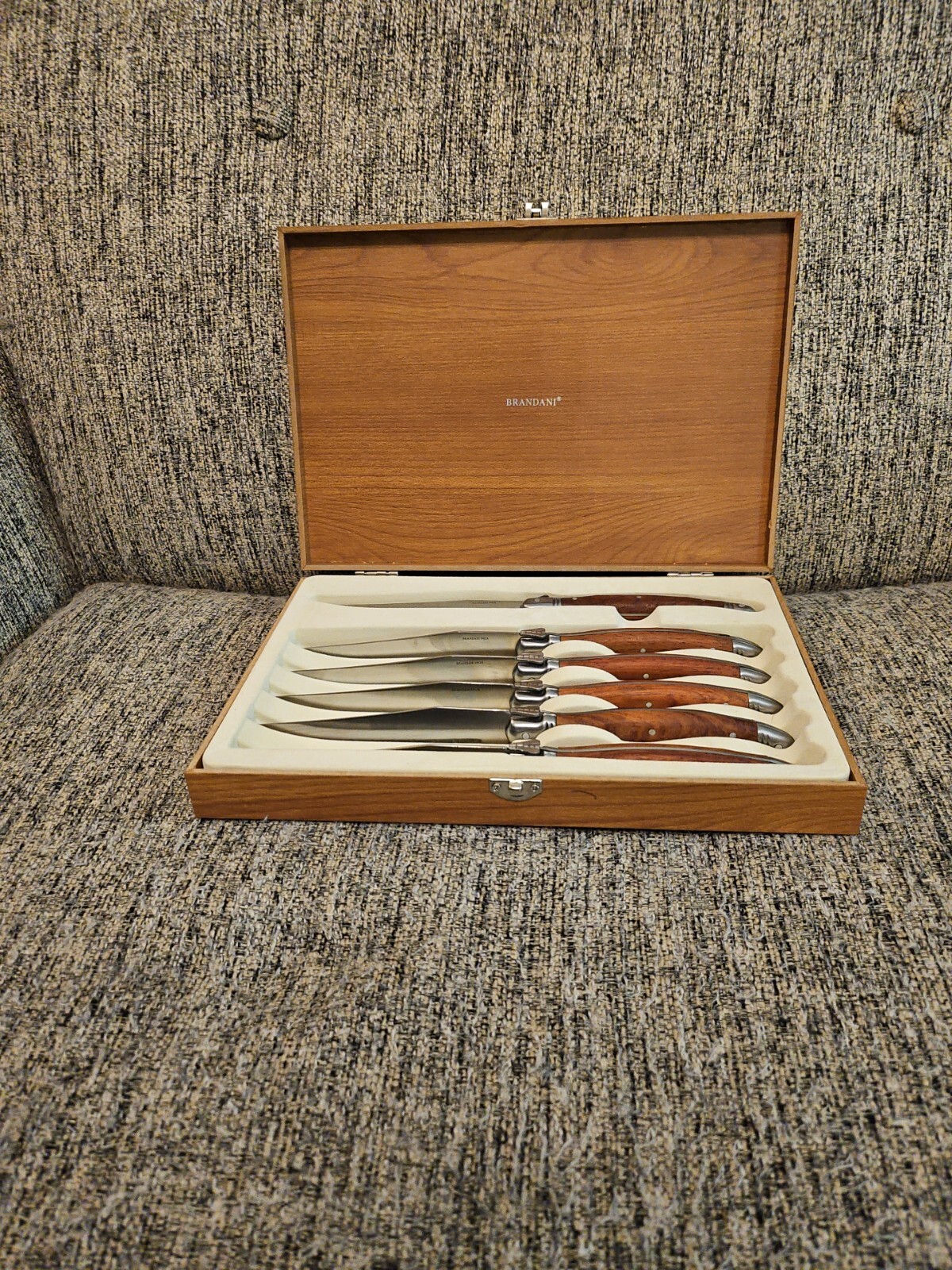 Brandani Inox Italian Style Non stick Stainless Steel Rain Steak Knives