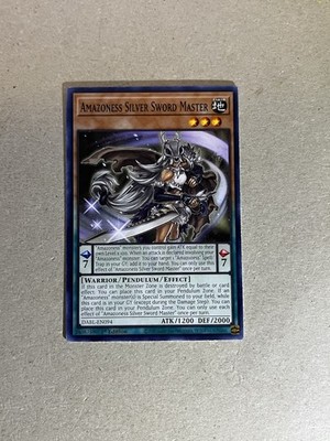 Amazoness Silver Sword Master DABL-EN094 Common 1st Edition
