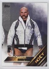 2016 Topps WWE Then Now Forever NXT Prospects Scott Dawson #13 0v7
