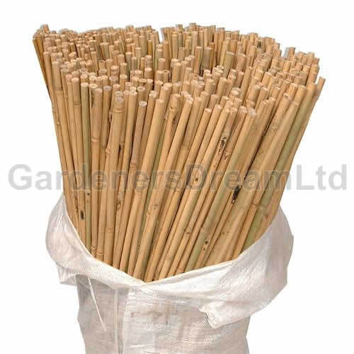 2FT 3FT 4FT 5FT 6FT 7FT 8FT BAMBOO GARDEN CANES STRONG THICK QUALITY SUPPORT - Picture 15 of 88