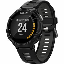 garmin epix ebay