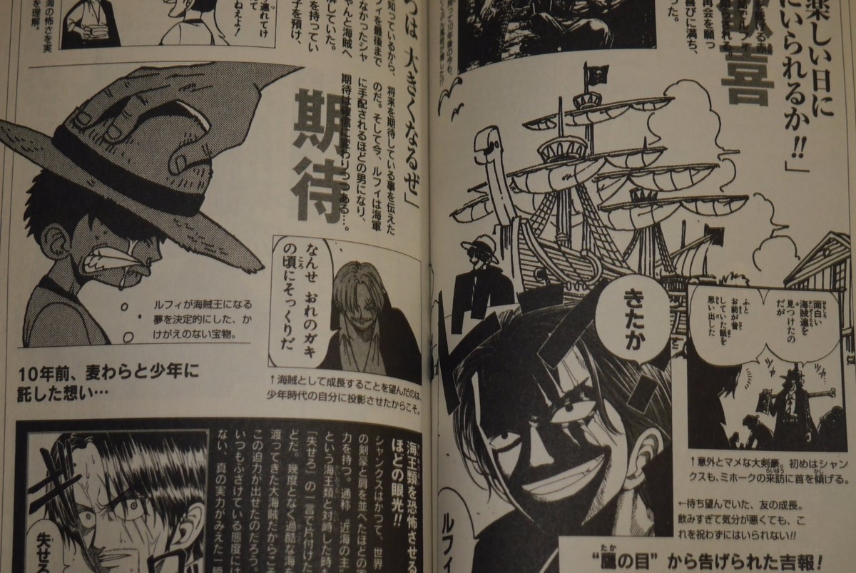 良品✨ 0-95巻　ワンピース 全巻 全95巻+0巻 Amazon.com: One Piece 95 (Japanese Edition): 9784088821696