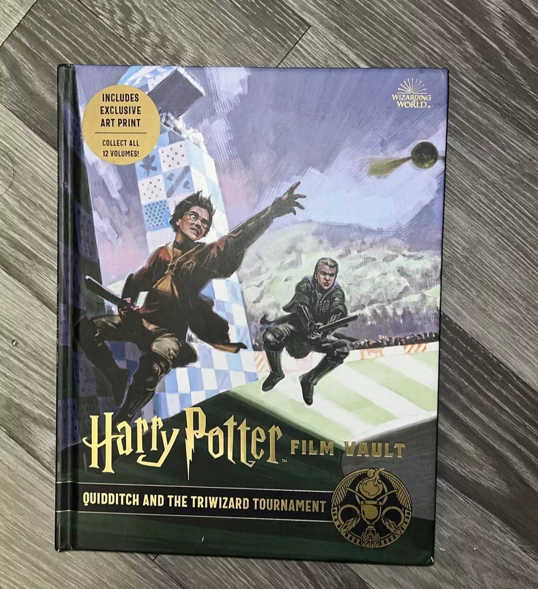 Harry potter and the 2024 triwizard tournament full movie
