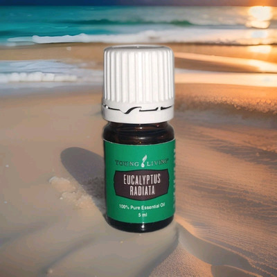 YOUNG LIVING - ätherisches Öl - Eucalyptus Radiata - 5ml - Eukalyptus NEU/OVP