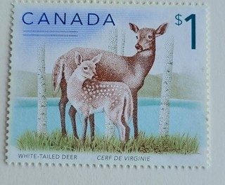 Timbre du CANADA cerf Neuf