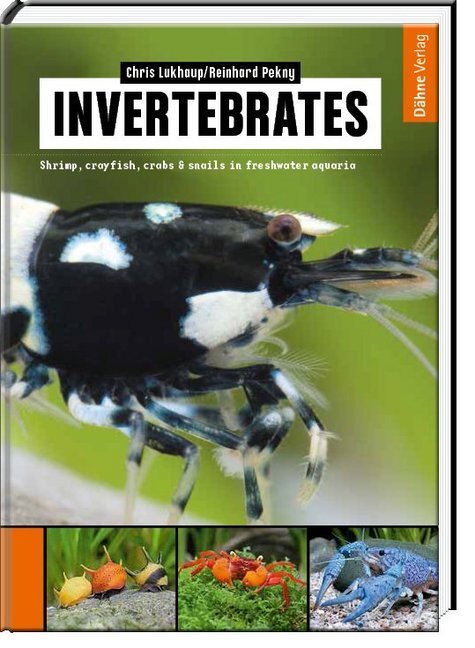 Thumbnail - Invertebrates Von Chris Lukhaup, Reinhard Pekny