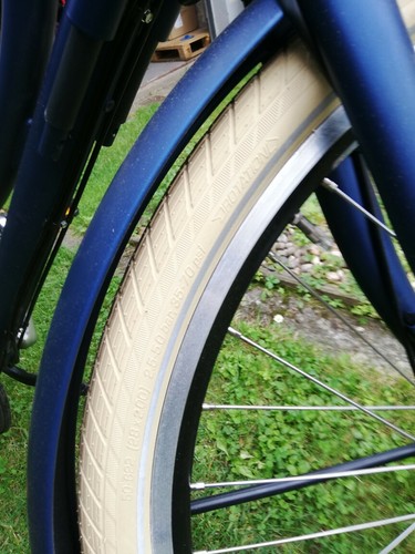 Hollandfahrrad Azor Ameland AZ1705847 - Bild 8 von 12