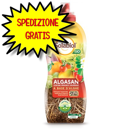 SOLABIOL ALGASAN CONCIME LIQUIDO 1 LT BIO