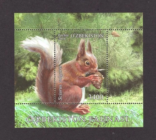 M29152 Uzbekistan 2018 Squirrel m/s UMM