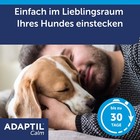Bild 5 von 11