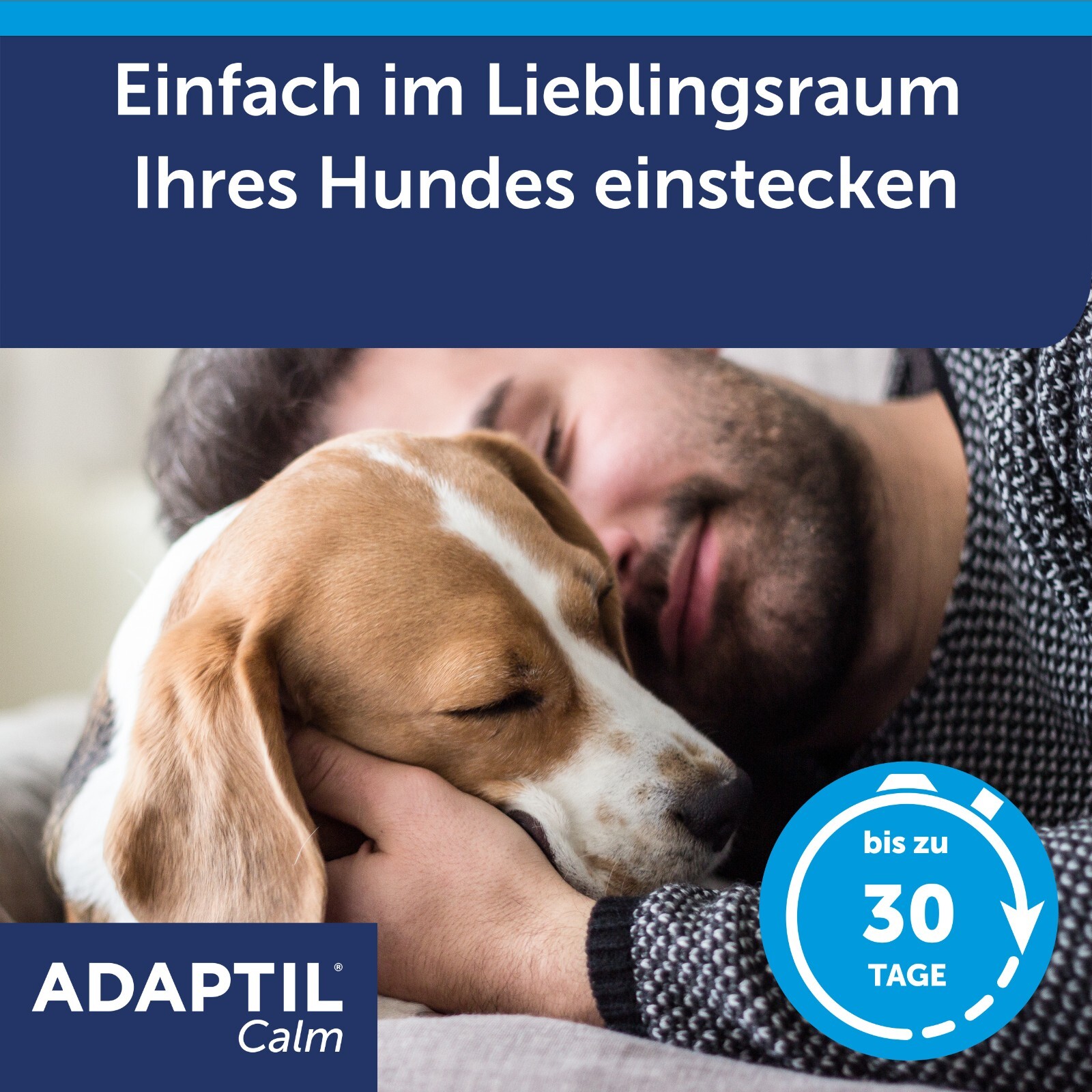 Bild 5 von 11