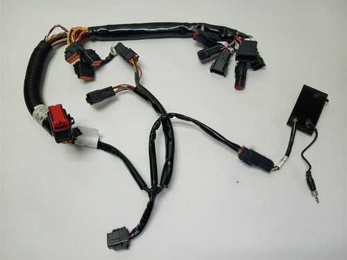 Harley-Davidson 2009 Street Glide Boom! Stereo Audio Wiring Harness 70169-06