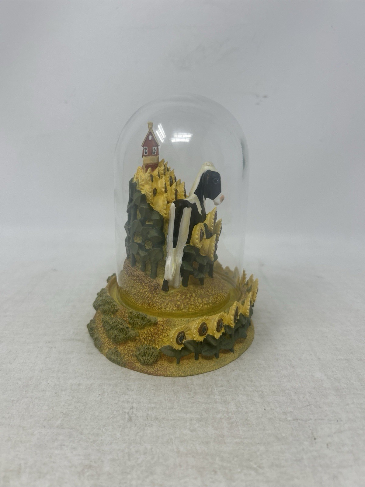 Picture 4 of 6