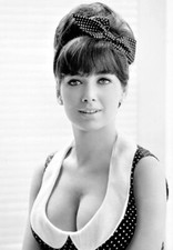 A Suzanne Pleshette Black And White Hair Collected In A Bun 8x10 Picture Celebri