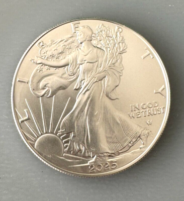 Roll of 20 Silver 2025 American Eagle 1 oz. Fine .999 US 1oz Coins