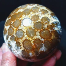 TOP 408G Natural Polished Colorful Coral jade Agate Crystal Ball Healing A4580