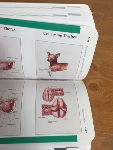 Small Animal Clinical Nutrition Pocket Companion 4th Edition -- Hand Novotny - Picture 11 of 12