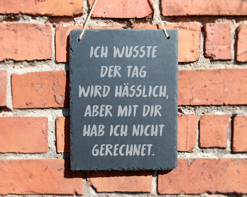 Ich Wusste Der Tag Wird Hässlich SCHIEFERTAFEL "ICH WUSSTE DER TAG WIRD HÄSSLICH" GARTEN LUSTIG #0017 | eBay
