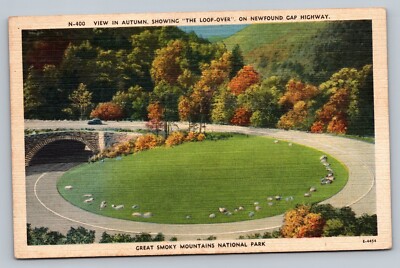 Autumn View The Loop Over Newfound Gap Highway Smoky Mountains c1930 Postcard