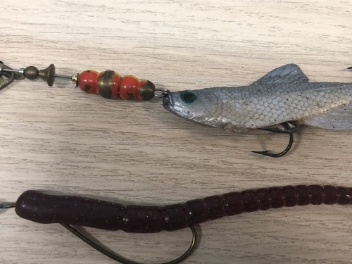 2 Vintage Spinner Lures - 1 Mepps 4 Aglia Long - Worm Lure is Unbranded - Imagen 4 de 12