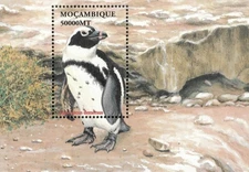 Mozambique 2002 - Birds Penguins - Souvenir Stamp Sheet - Scott #1585 - MNH
