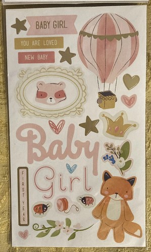Lot of 56 Recollections Baby Themed 3pk Sticker Sheets/Dimensional Packs/Books - 第 10/13 張圖片
