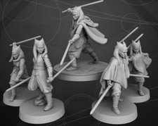 Star Wars Legion Commander  Padawan Ahsoka Tano Character Expansion 3D Printed