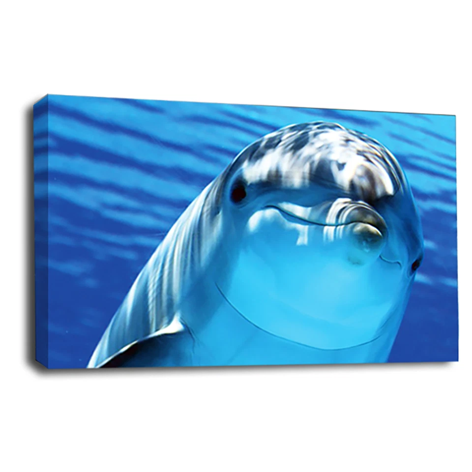 Large Dolphin Wall Art Print Grey Blue White Sunset Framed Canvas Picture - Image 3 of 4