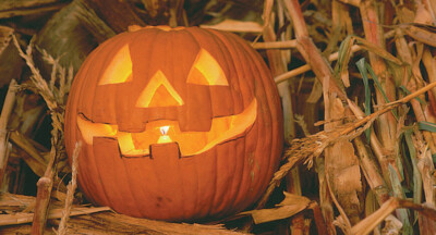 #ad 50 JACK O LANTERN PUMPKIN SEEDS CARVING TYPE FRESH HARVEST FOR GARDENS $2.79