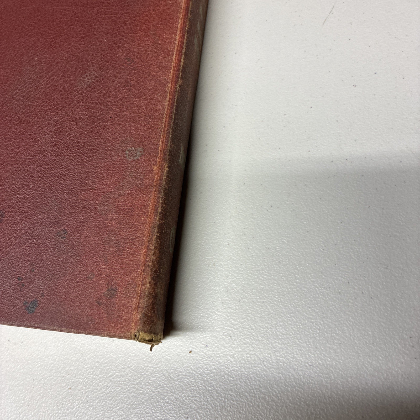 Picture 5 of 5