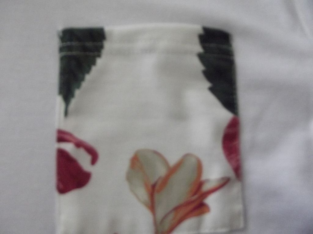 Picture 5 of 11