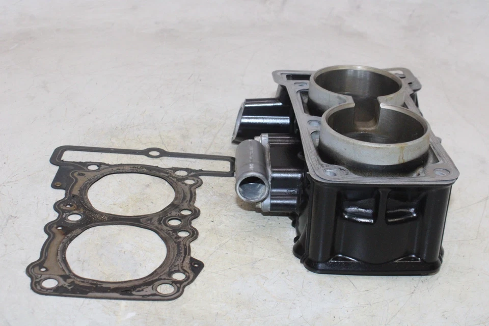 13-15 KAWASAKI NINJA 300 EX300A OEM MOTOR PISTÓN CILINDROS BLOQUE JARRA Foto 4 de 4