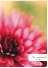 Tree-Free Greetings Large Pink Flower Closeup  Comfort and Peace Sympathy Card