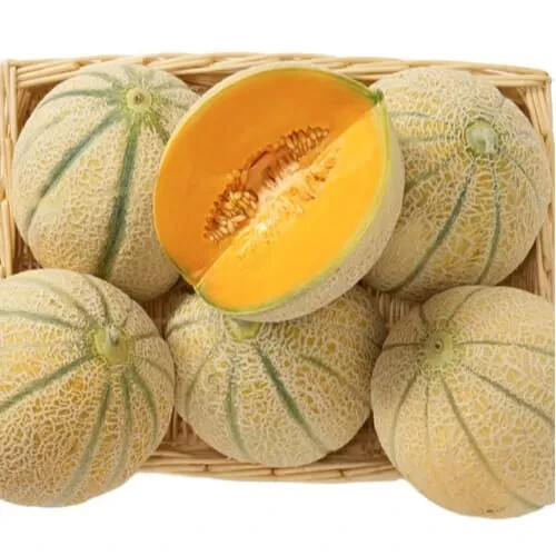 MELONE RETATO DEGLI ORTOLANI-POLPA COLORE ARACIO SAPORE ZUCCHERINO 50 SEMI - Foto 6 di 6