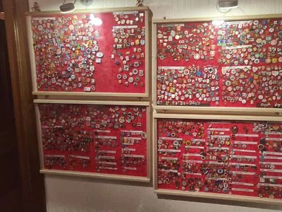 VitrinenSchmidt® 031 Pin Vitrine Schaukasten Orden 60cm x 40cm