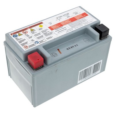 CUB CADET 725P17136 Battery AGM 7AHR CC 30 H Hydro Mini Rider | eBay