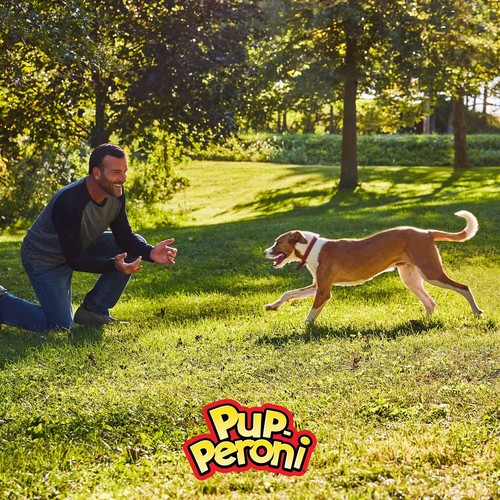 Pup-Peroni Dog Snacks, Original Beef Flavor (46 oz.) Great Price - Picture 8 of 10